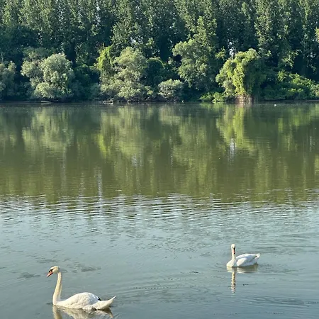Kuca Na Dunavu *