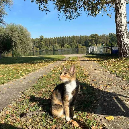 Vikendica Kuca Na Dunavu